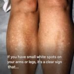 Banish Flies, Mosquitoes, and Cockroaches with These Simple Natural Remedies
