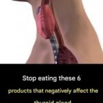 Discovering the 10 Most Common Side Effects of Metoprolol: A Helpful Guide for Anyone Taking This Medication