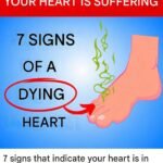Your Feet Are a “Blood Sugar Meter” – Beware of Diabetes If You Frequently Experience These 12 Symptoms