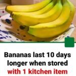 10+ Foods to Help Lower Your Blood Sugar