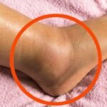 The “vein” of the shrimp: a little-known culinary detail