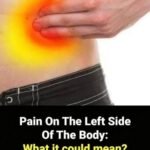 Visible Blue Veins After 60: What Your Blood Flow Is Screaming