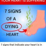 23 Strange Signs Your Kidneys Might Be in Trouble