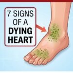 Stop Before You Step In the Tub: 5 Shower Habits That May Be Harming Your Heart and Circulation
