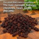 ## Doctors Reveal What Can Happen When You Consume Ginger   Ginger is generally safe for most people when consumed in normal food amounts, and it has evidence for helping with **nausea and some types of digestive discomfort**. But “natural” doesn’t mean it is risk-free.   Possible effects of consuming larger amounts of ginger include:   – **Heartburn or stomach irritation** — particularly in people prone to reflux. – **Diarrhea or abdominal discomfort** — more likely with concentrated or high doses. – **Increased bleeding tendency** — ginger may have antiplatelet effects, so caution is appropriate with blood-thinning or antiplatelet medicines. – **Blood-sugar effects** — people taking diabetes medication should be cautious with large supplemental doses because ginger may affect glucose levels. – **Drug interactions** — concentrated ginger supplements can interact with some medicines, so discuss regular high-dose use with a pharmacist or doctor.   For most people, using ginger in **tea or cooking** is considerably different from taking concentrated ginger extracts or large doses of supplements.   If you were referring to a viral headline saying **“consuming ginger causes…”**, send me the rest of the headline (or the article), and I can explain whether the claim is supported by medical evidence.
