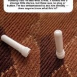 Why you should consider consuming raw garlic daily