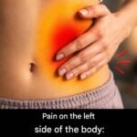 THE MOST POTENT HERB THAT DESTROYS PARASITES, URINARY TRACT & BLADDER INFECTIONS, HERPES, AND FLU VIRUSES