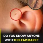 SIGNS THAT YOUR HEART IS NOT RIGHT, PAY ATTENTION