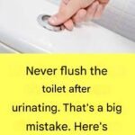 Warning! If you have found this insect in your home, it’s a sign that you need to…see more…