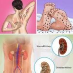 Home 12 nasty things you do in old age that everyone notices, but no one dares to tell you